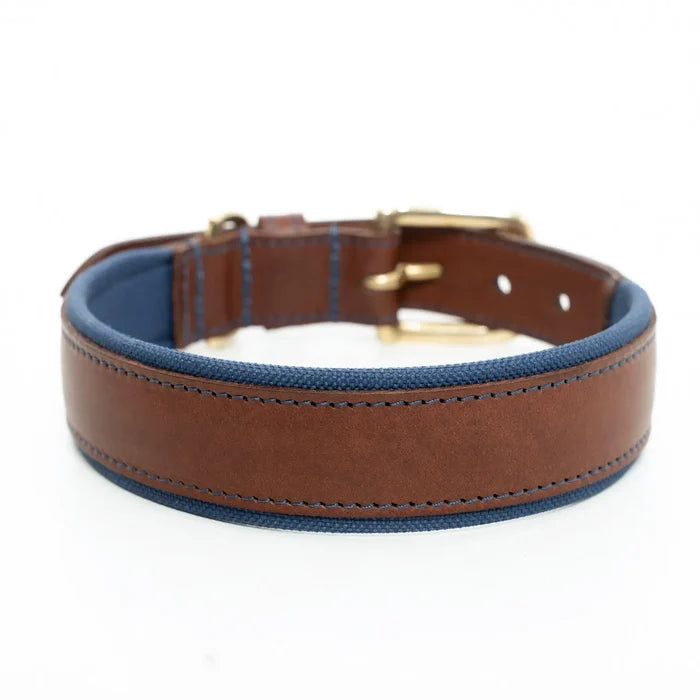 Morston Padded Leather Collar