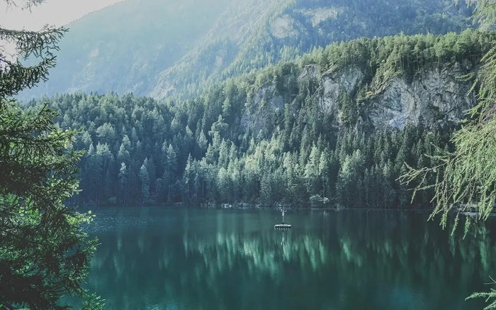 Mountain Lake Peel and Stick Wallpaper Mural: Nature Landscape Wall Art