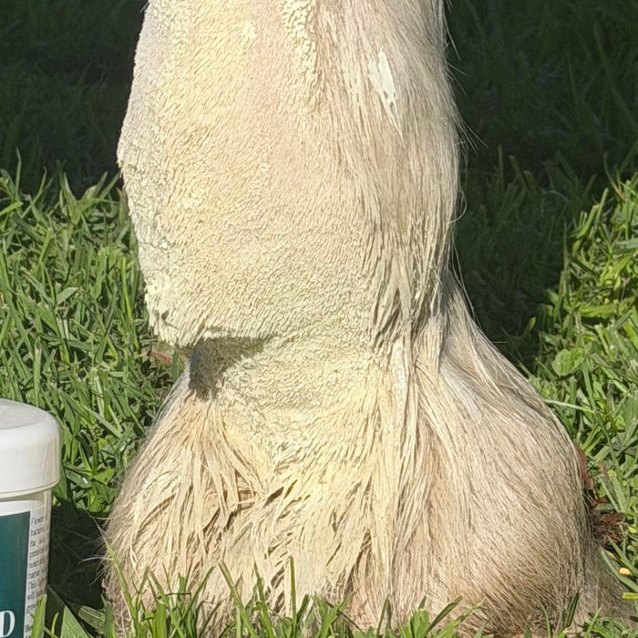 Mud Monster Lotion