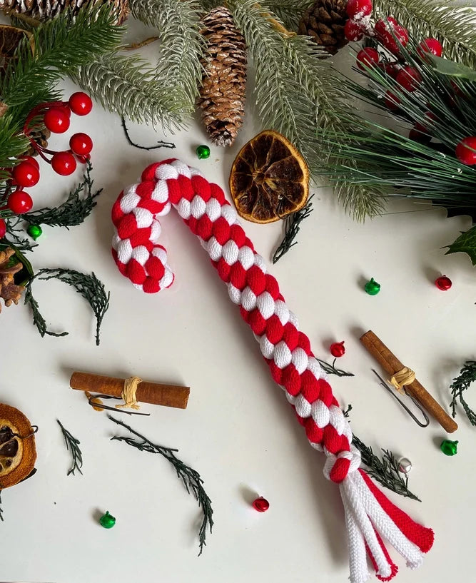 Muttsie Christmas Dog Toys