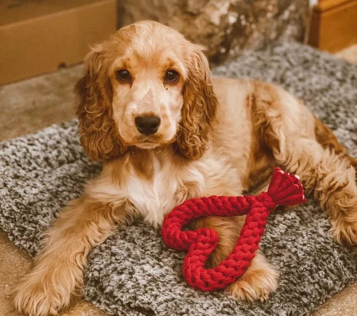 Muttsie Christmas Dog Toys