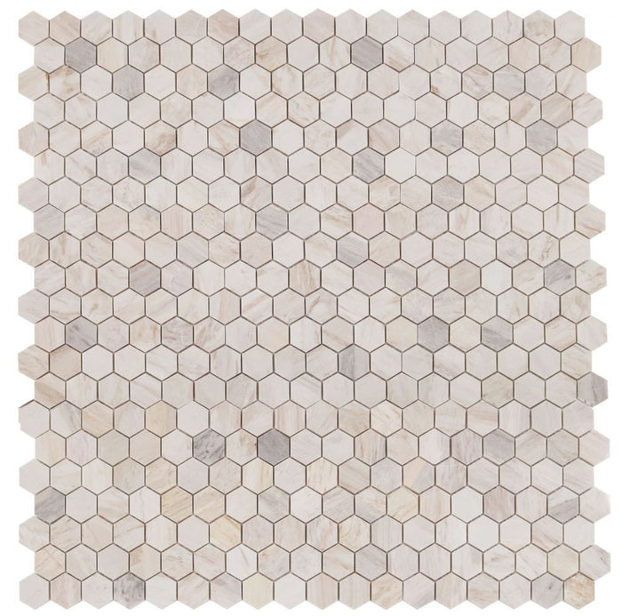 NB3728 Eurasian Polished 2 x 2 Hexagon Marble Mosaic 9 sheets together