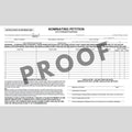 Nominating Petition - City-Township Partisan (PT-804)