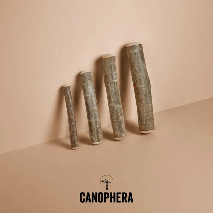 Olive Wood - Canophera