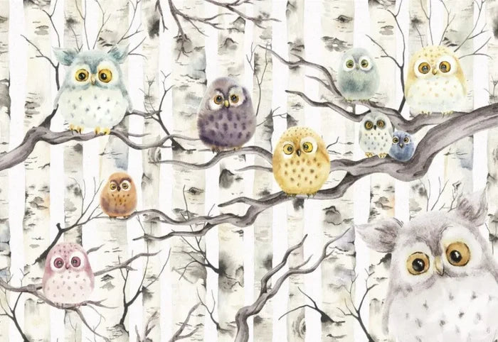 Owls Wallpaper for Nursery: Forest Animals Wall Decals