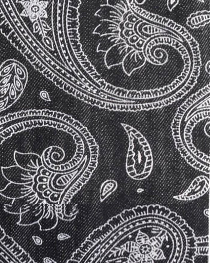 Paisley Denim Wabash