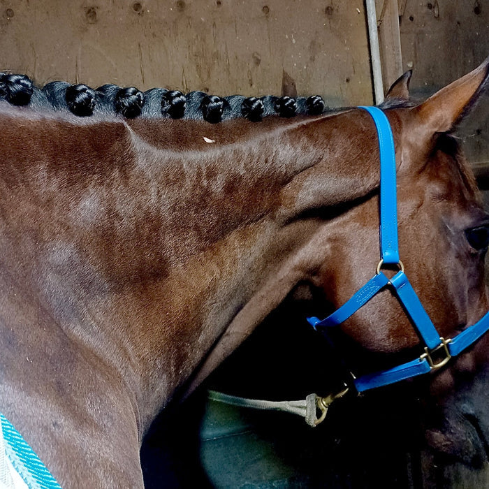 Plaiting Wand