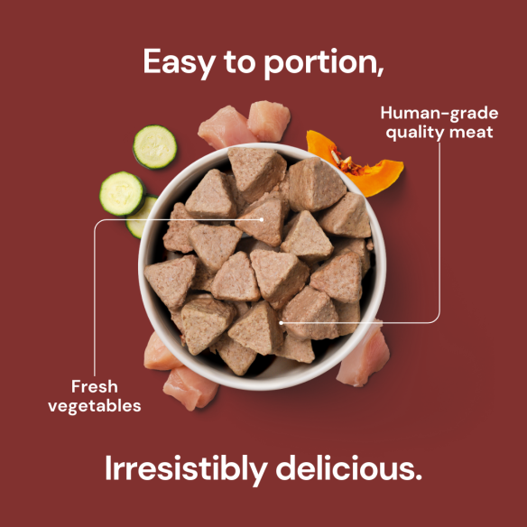 8kg Adult Raw Nugget Starter Pack: triangle-shaped raw dog food with veggies and meat for species-appropriate feeding.