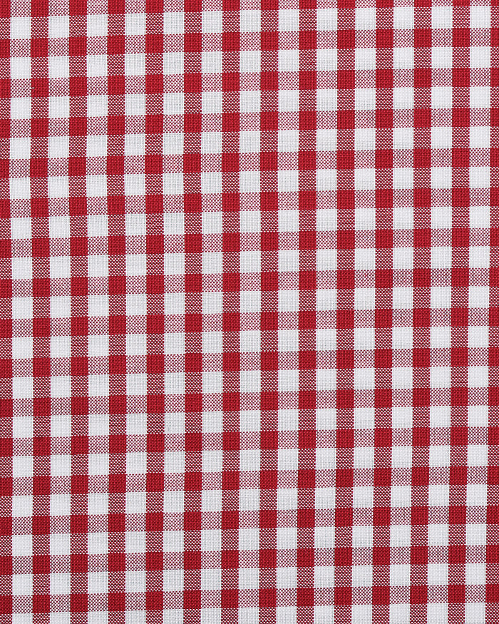 Red Mini Gingham