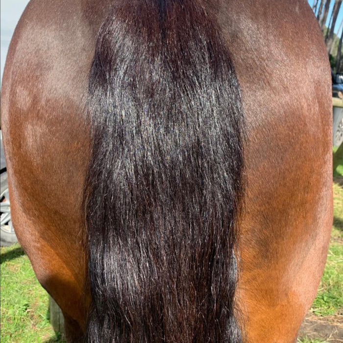 REFILL POUCH Detangle & Shine