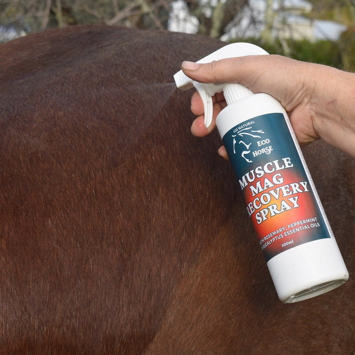 REFILL POUCH Muscle Mag Recovery Spray