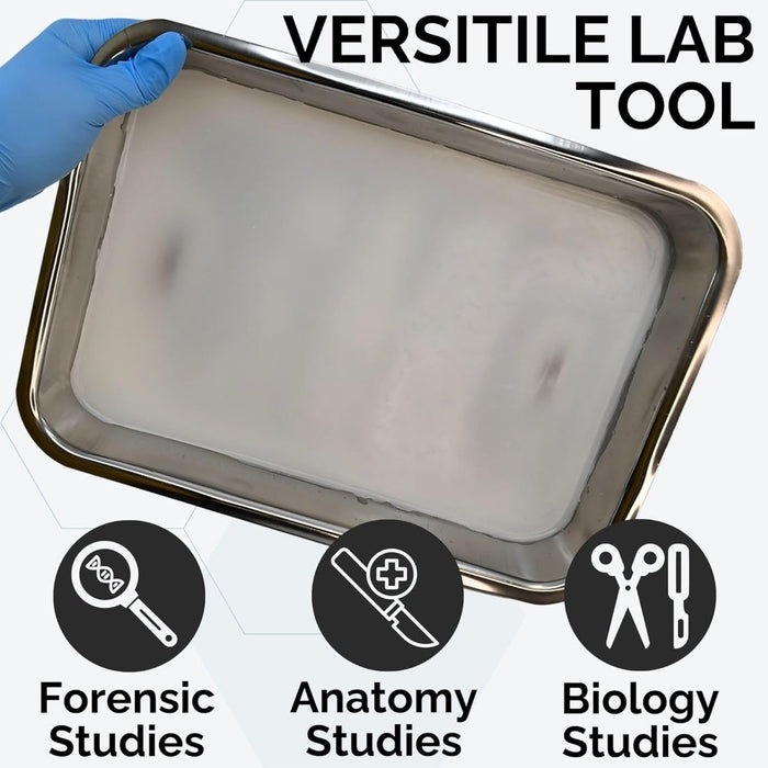 Stainless steel dissecting tray with wax Model 1035-15BWB, anatomy lab specimen tray