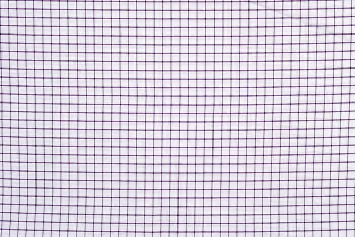 Summer Oxford: Purple White Checks