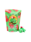 Tilly the Turtle Air Dry Clay Kit | Arts & Craft Kit