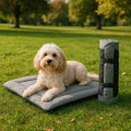 Travel Bed