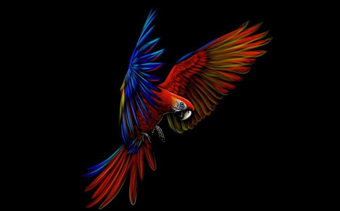Tropical Parrot Wallpaper: Abstract Blue & Red Lines, Removable Wallpaper