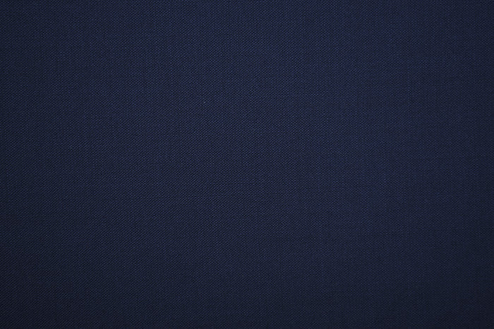 Vitale Barberis Canonico - 120s 2 Ply Navy Pant