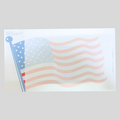 Voter ID Card (FM-137)