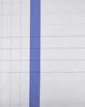 Windowpane Checks With Blue Wide Stripe