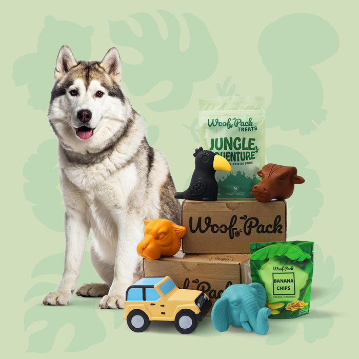Woof Pack - Gift Box