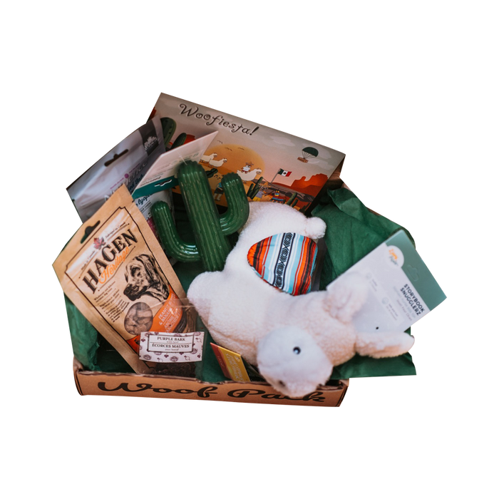 Woof Pack Dog Toys & Treats Box