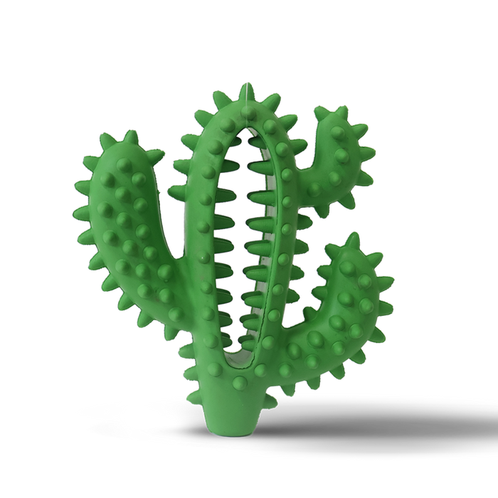 Woof Plays - Rubber Cactus