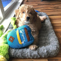 Woof Plays Bark Pack