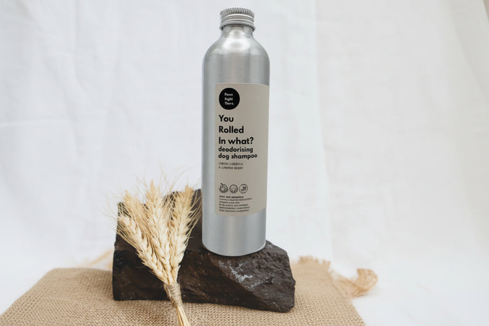 Silver bottle of dog shampoo on a rock with a white background