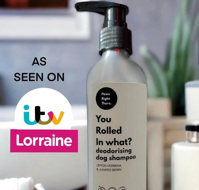 Dog shampoo bottle with 'As Seen On ITV Lorraine' text and logo.